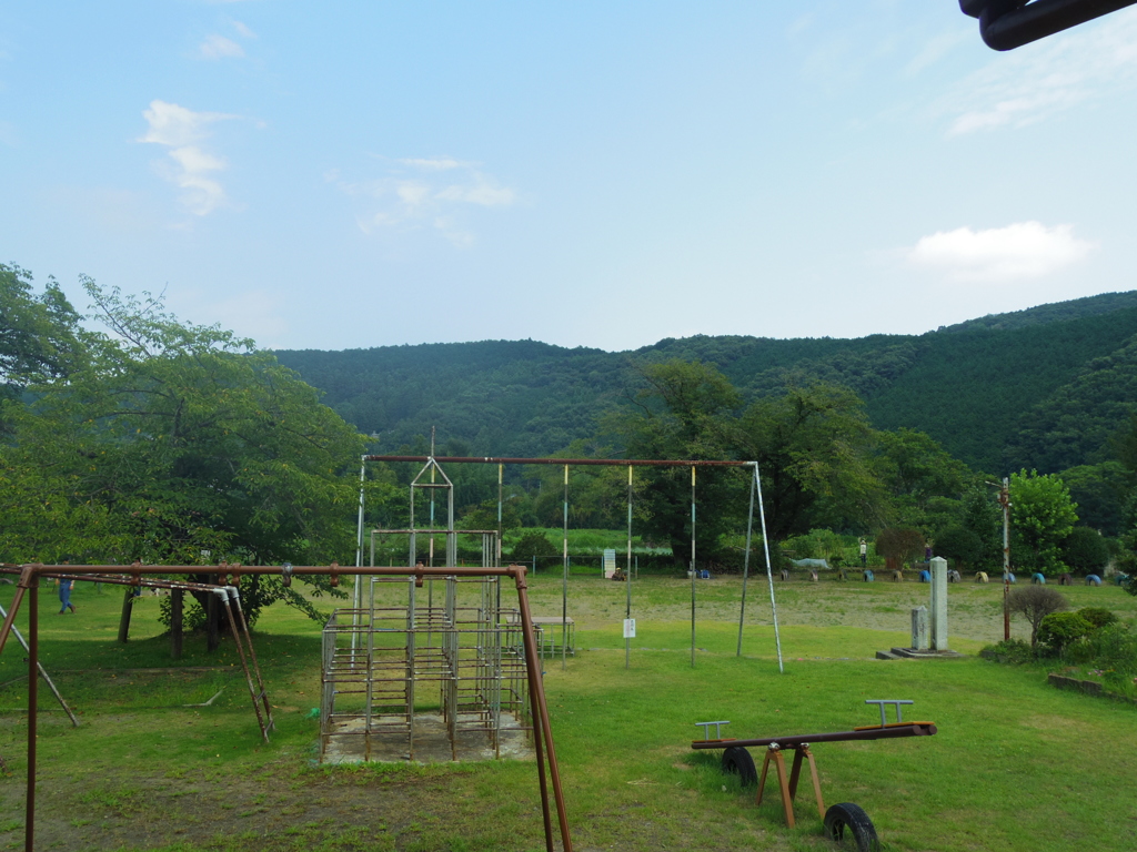 IMGP1566