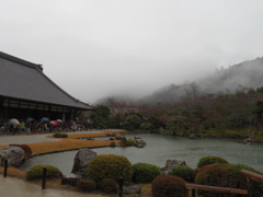 IMGP0581