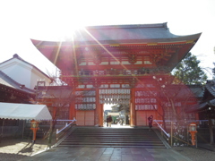 IMGP0410