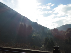 IMGP0343