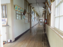 IMGP1567