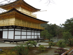 IMGP0671