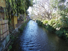 IMGP0446