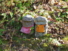 IMGP0386