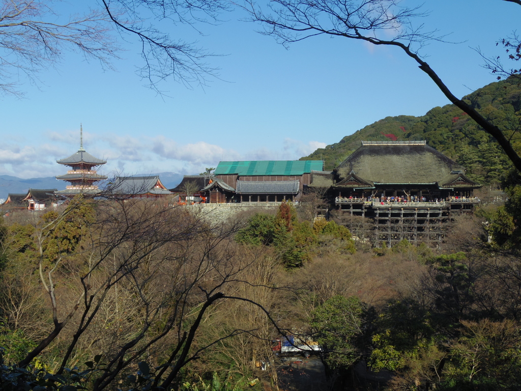 IMGP0380