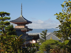 IMGP0358