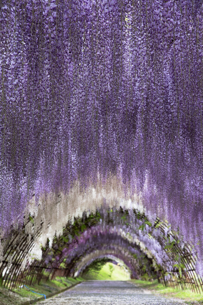 綺麗なトンネル１。