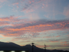 IMGP0613