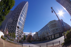 IMGP1293