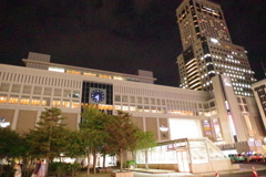 IMGP0595
