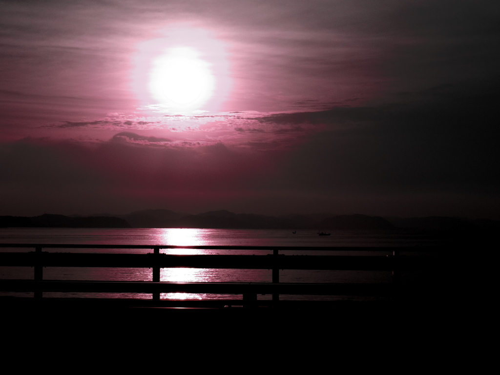 IMGP0803