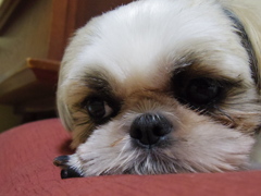 IMGP0656