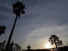 IMGP0818