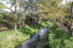 IMGP0457