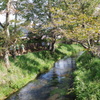 IMGP0457