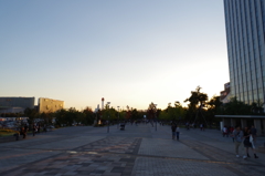 IMGP0603