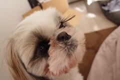 IMGP1263