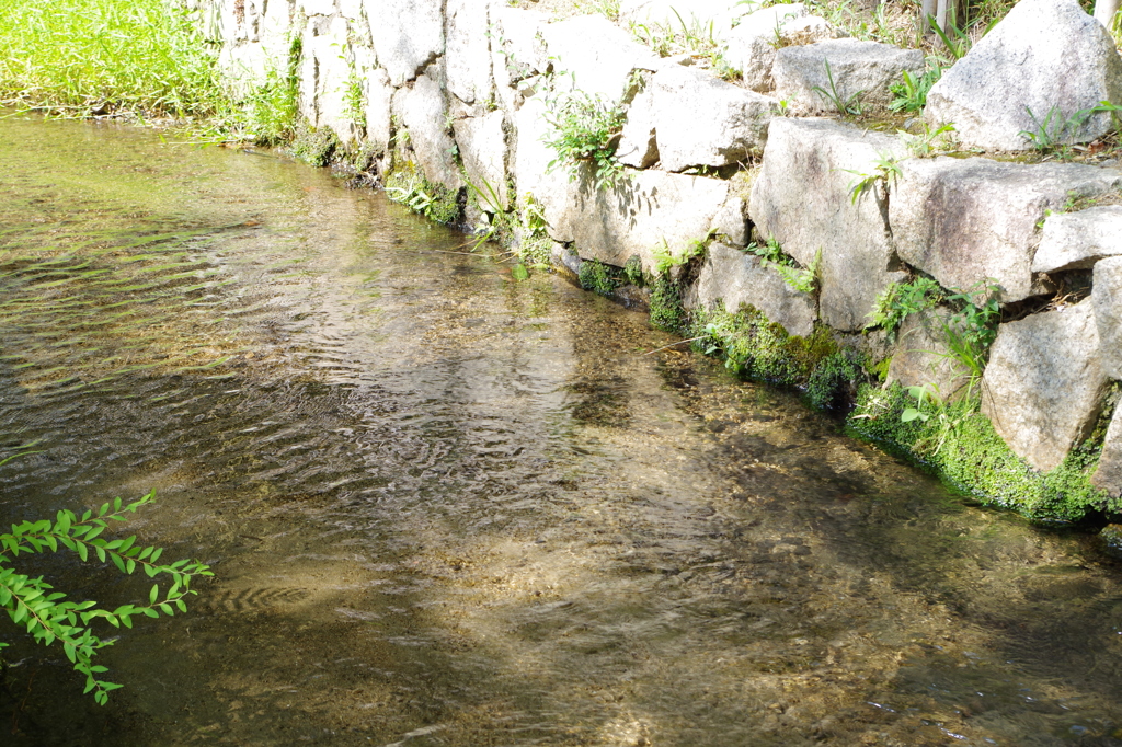 IMGP0221
