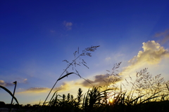 IMGP0712