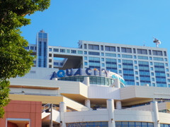IMGP0957