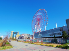 IMGP0938