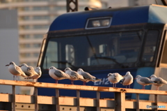 列車待ち