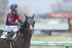 春季競馬大会6