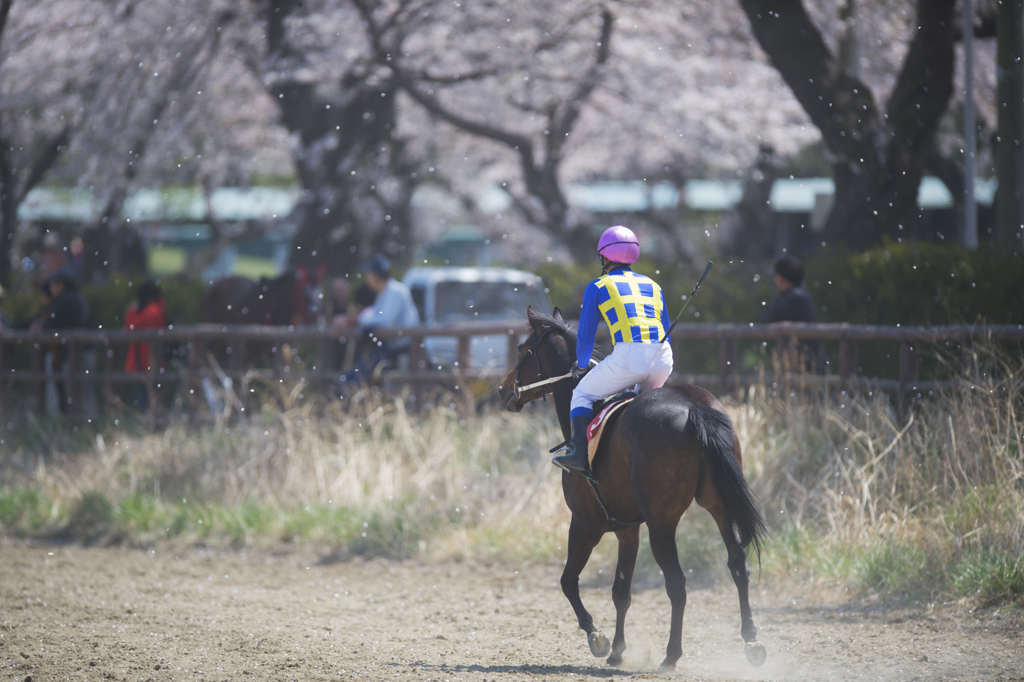 春季競馬大会5