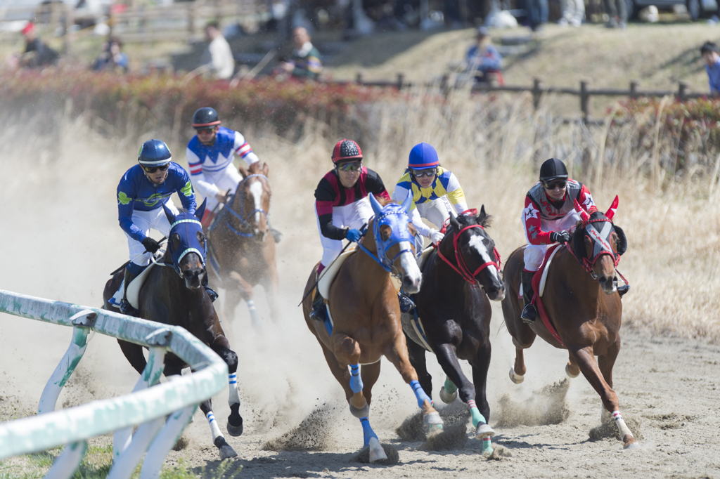 春季競馬大会1