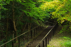 遊歩道