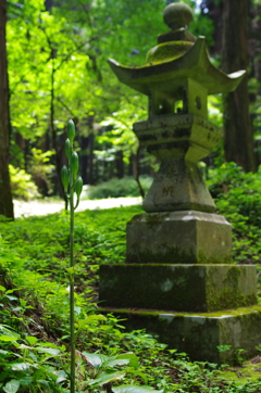 上色見熊野神社②