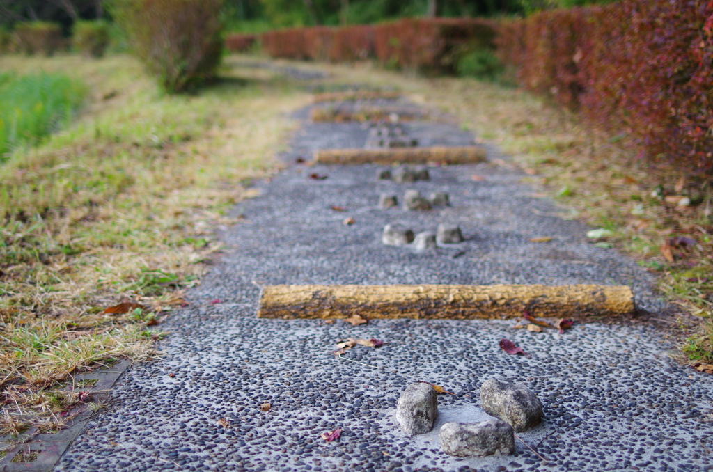 足つぼマッサージをしてくれる遊歩道