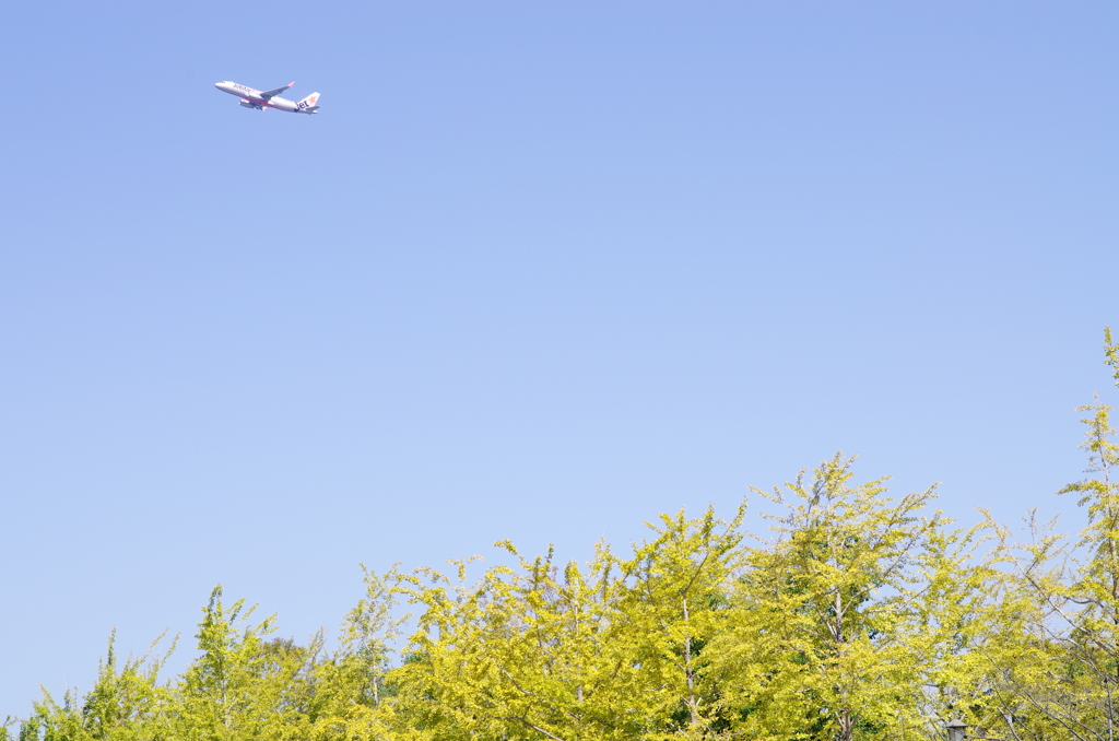 空を飛びたいなぁ。