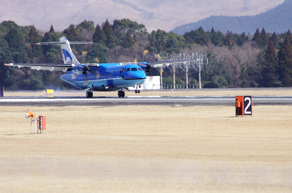 イルカ？の飛行機