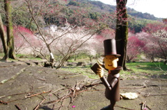 宮本武蔵が座禅したと云われる場所から見える光景