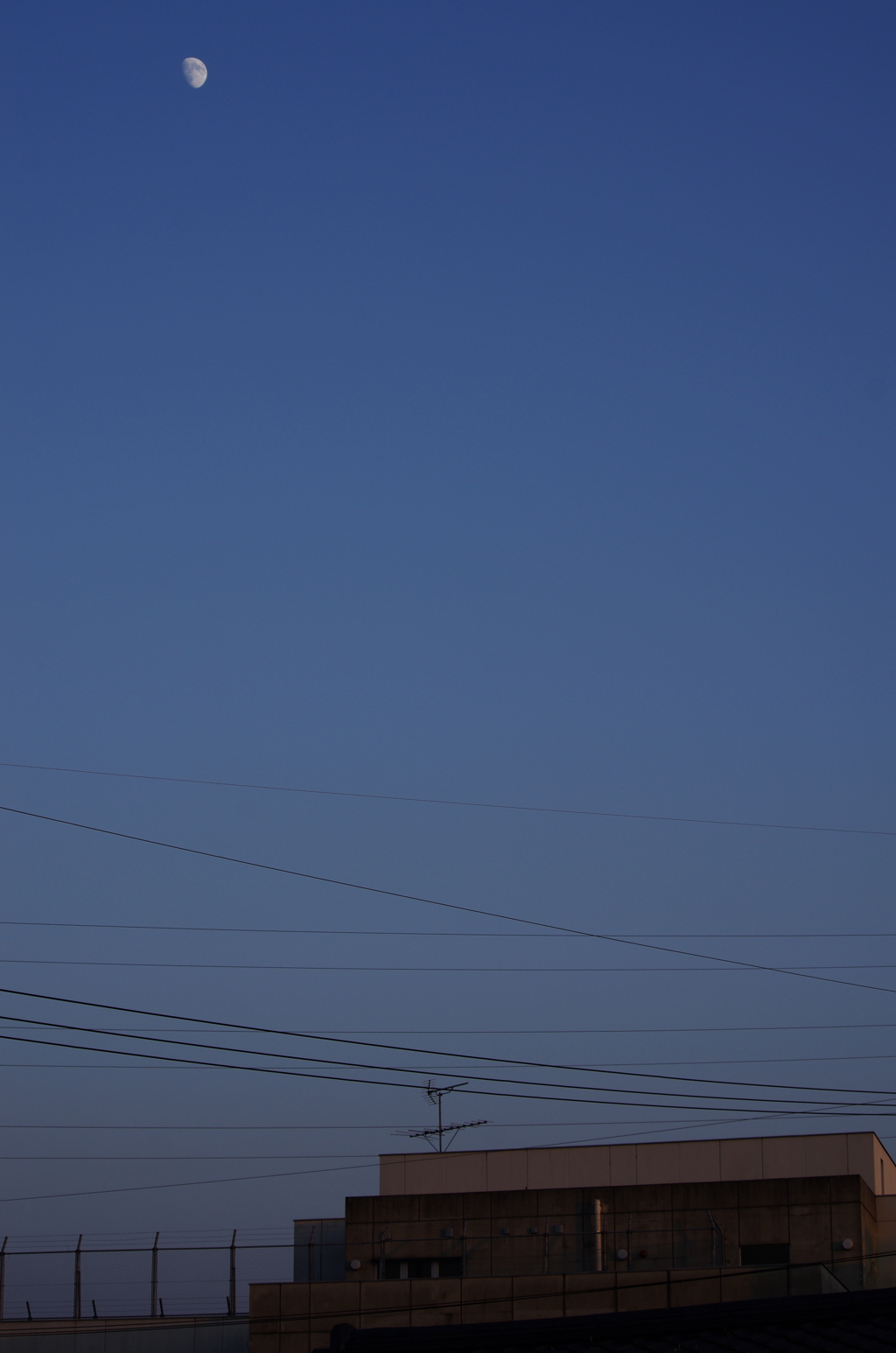夕暮れの月