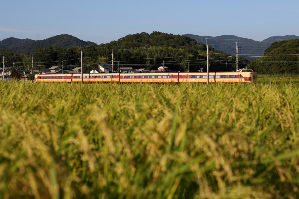  最後の秋の丹波路