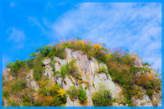 一目八景
