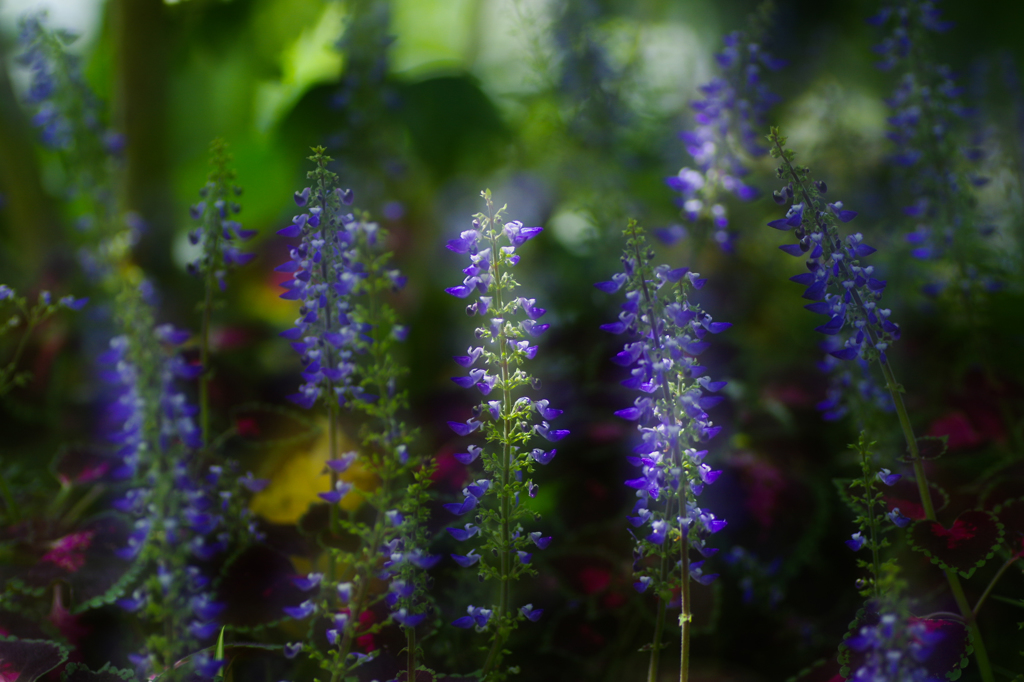 元はこんな感じですねんけど