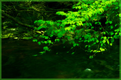 岳切渓谷（たっきり）