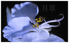 閑話休題