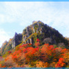 一目八景