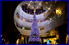 星空のクリスマス