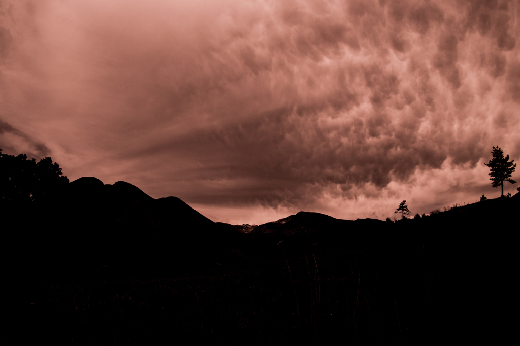 でんでらりゅう