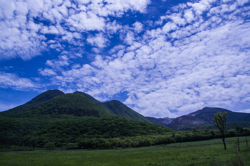 タデ原湿原から