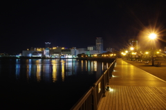 ヴェルニー公園の夜景