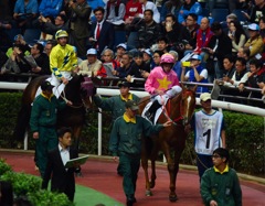 Hong kong derby 2016①