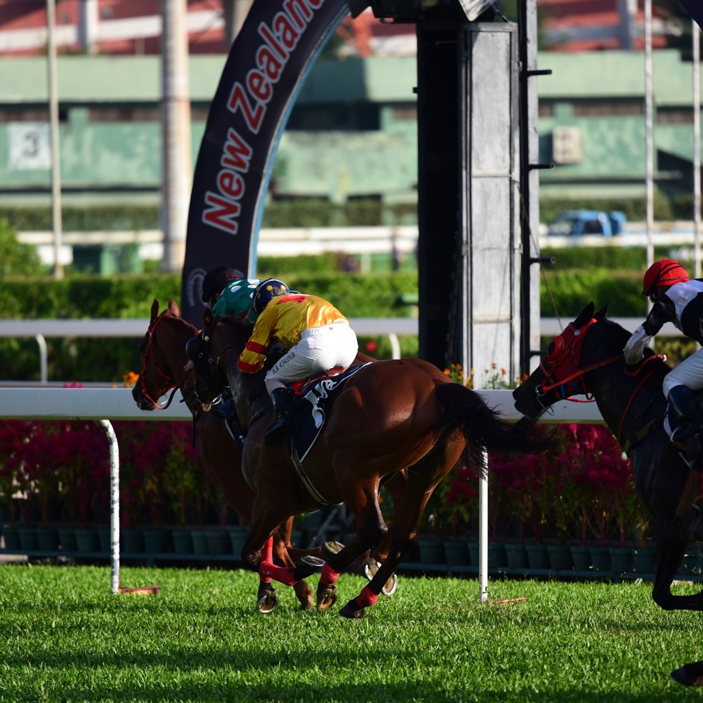 タイパ競馬場ゴール前