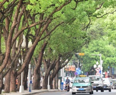 西湖路