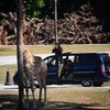 長隆野生動物園⑧